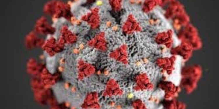 From Germs to Outbreaks: What Epidemiologists Study and Why It Matters