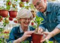 Rooted in Wellness: How Gardening Supports Senior Mental Health