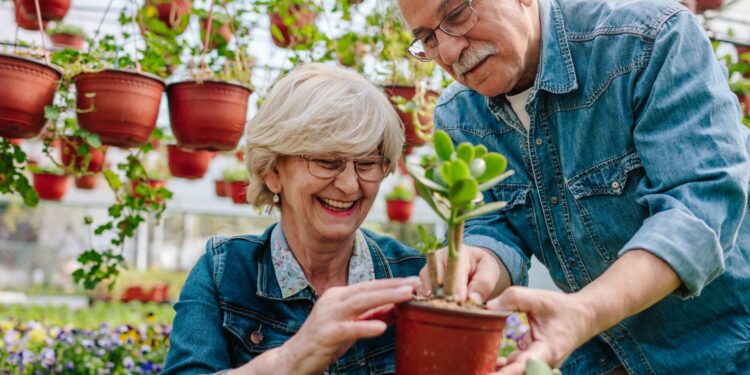 Rooted in Wellness: How Gardening Supports Senior Mental Health