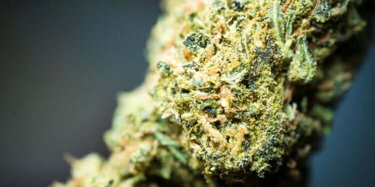 Exploring the Power of THC Gummies for Natural Pain Relief