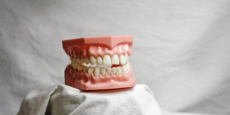 Importance of Maintaining Good Oral Health