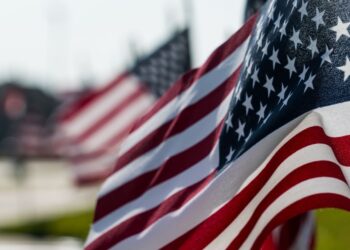 Exploring Psychedelic Boundaries: Can You Legally Do Ayahuasca in the U.S.