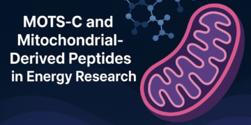 MOTS-C and Mitochondrial-Derived Peptides in Energy Research