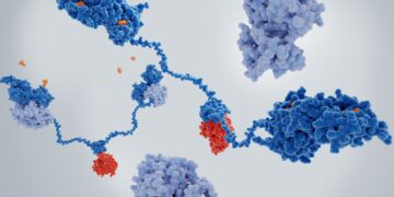 Pirtobrutinib vs Zanubrutinib: Dosing, Administration, and Dose Modification – A Label-Guided Comparison