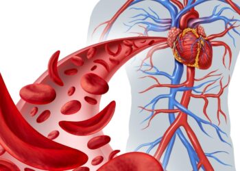 How Poor Circulation Can Affect Energy, Mobility, and Overall Wellness
