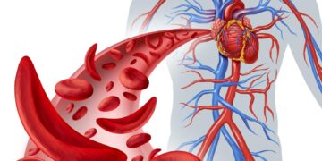 How Poor Circulation Can Affect Energy, Mobility, and Overall Wellness