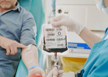 How Healthy Blood Flow Supports Recovery, Mobility, and Everyday Wellness