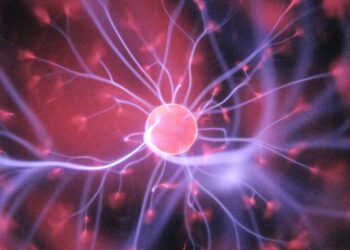 What Is the Brain&rsquo;s Reward System and Why It Loves Uncertainty