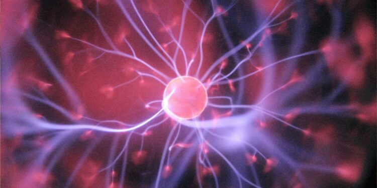 What Is the Brain’s Reward System and Why It Loves Uncertainty
