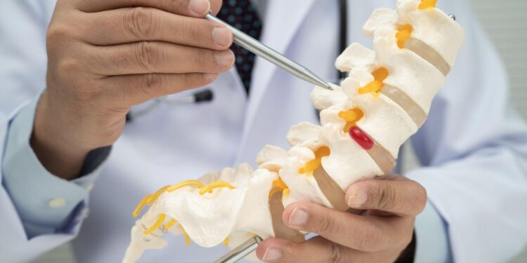 What to Look for When Choosing a Spine Care Provider