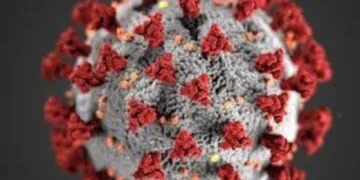 From Germs to Outbreaks: What Epidemiologists Study and Why It Matters