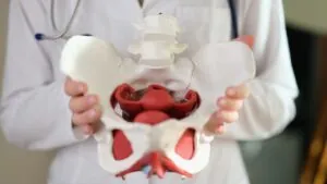 The Benefits of Pelvic Floor Therapy for Women