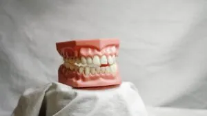Importance of Maintaining Good Oral Health