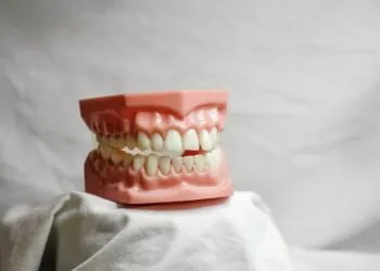 Importance of Maintaining Good Oral Health