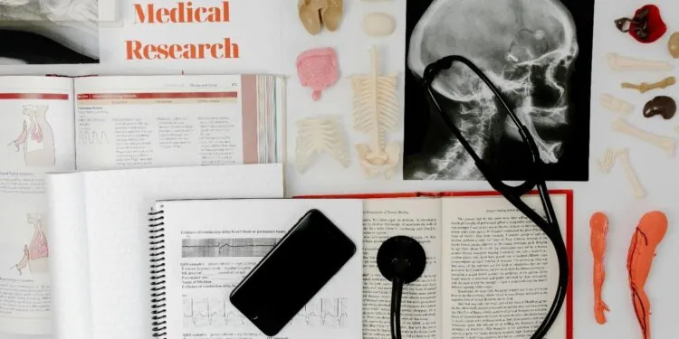 How Future Nurses Are Shaping the Future of Holistic and Public Health