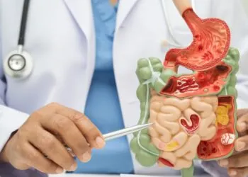 How Do Prebiotics Support Digestive Health?